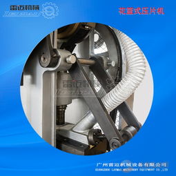 广州雷迈机械直销dhp型食品制药化工双色片花篮式压片机