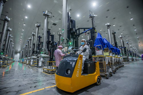 三年产值增长10倍 中国绿色硅谷强势崛起丨新型工业化市州行乐山