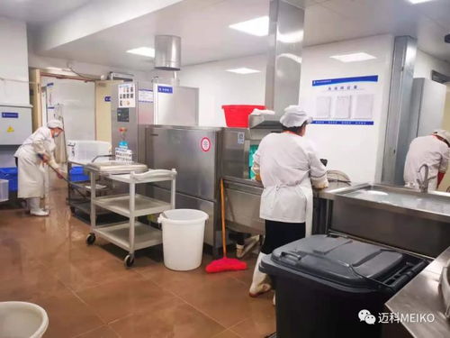 迈科洗碗机在大型上市企业员工食堂的应用